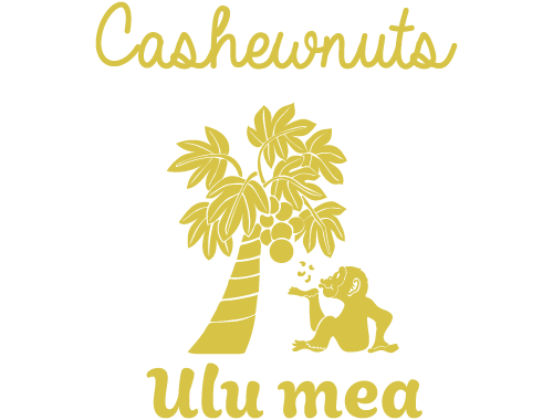 東京都世田谷区で人気のおすすめなお店。代理販売店募集中のスーパーフード・カシューナッツ販売店「Ulu mea」です。